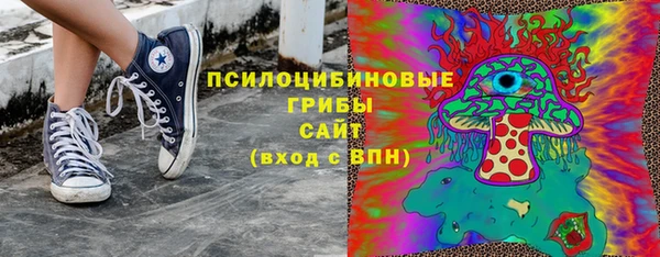 ПСИЛОЦИБИНОВЫЕ ГРИБЫ Аркадак