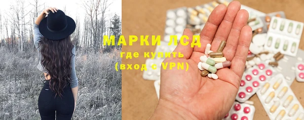 ПСИЛОЦИБИНОВЫЕ ГРИБЫ Аркадак