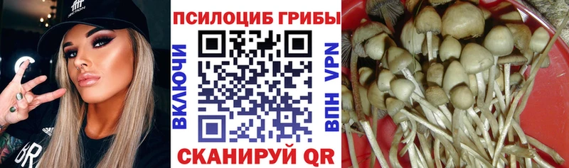 Псилоцибиновые грибы ЛСД  Ельня 